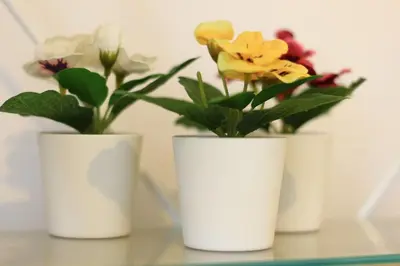 Plan piętra w obiekcie miejskie mieszkanie
