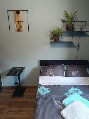 Łóżko lub łóżka w pokoju w obiekcie Apartament Magnolia