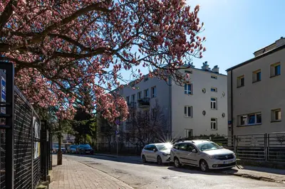 Okolica w pobliżu tego apartamentu