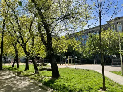 Ogród w obiekcie Słoneczny Apartament Koszykowy!