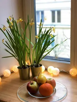 Jedzenie w apartamencie lub w pobliżu