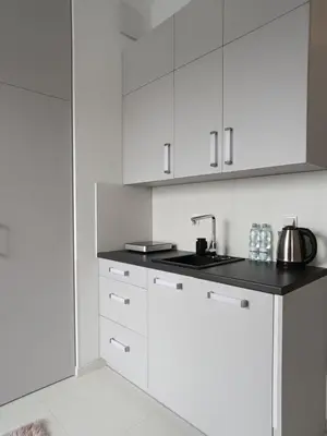 Kuchnia lub aneks kuchenny w obiekcie Apartamenty Wiktoryn 6A