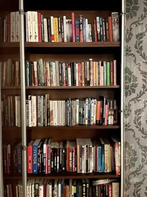 Biblioteka w apartamencie