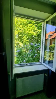 Ogród w obiekcie Quiet Apartment Koscielna Old Town