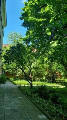 Ogród w obiekcie Quiet Apartment Koscielna Old Town