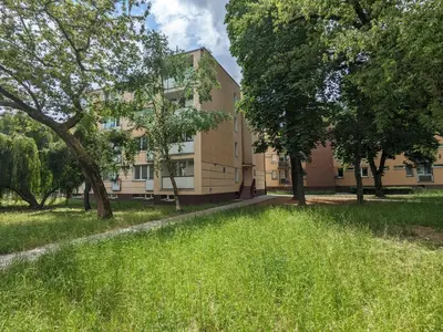 Ogród w obiekcie Warsaw Studio Saska Kępa