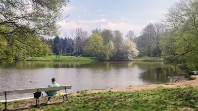 Przyroda w pobliżu tego apartamentu