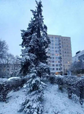 Obiekt To był maj zimą