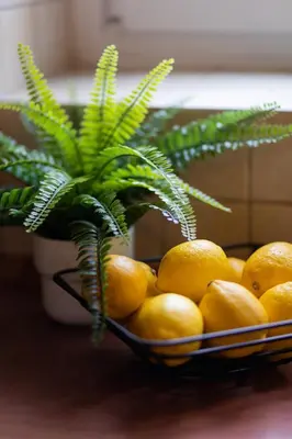 Jedzenie w apartamencie lub w pobliżu