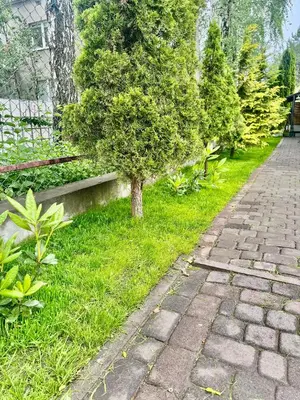 Ogród w obiekcie Villa Krasnowolska Airport