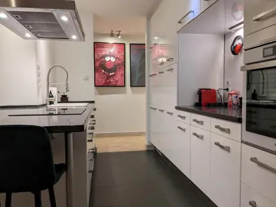 Kuchnia lub aneks kuchenny w obiekcie Spielberg 2 BR apartment