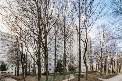 Przyroda w pobliżu tego apartamentu
