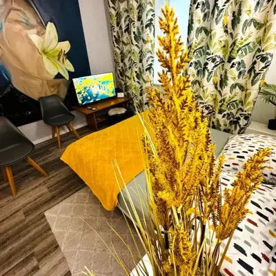 Apartment Warsaw Powiśle