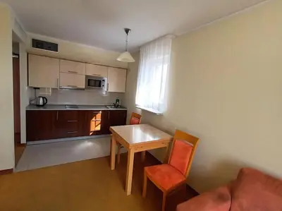 Kuchnia lub aneks kuchenny w obiekcie 10Q - Z6 Apartament 1001