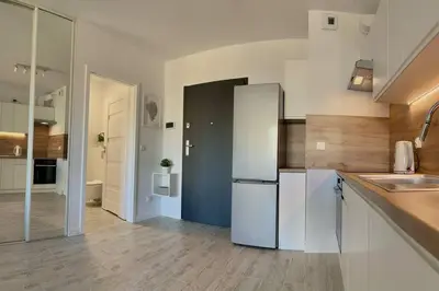 Kuchnia lub aneks kuchenny w obiekcie Apartment Olive in Białołęka-Tarchomin Center