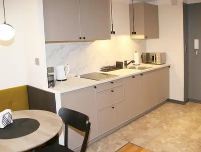 Kuchnia lub aneks kuchenny w obiekcie Falcon Apartment Center 2 Metro Złote Tarasy