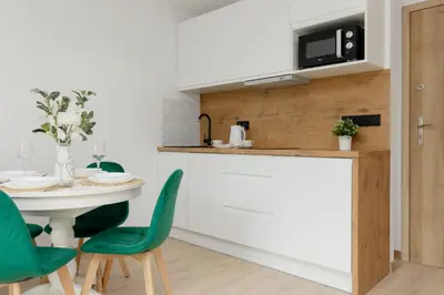 Kuchnia lub aneks kuchenny w obiekcie Warsaw City Centre & Pet-friendly Studio by Noclegi Renters