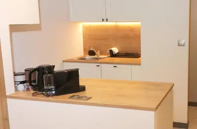 Kuchnia lub aneks kuchenny w obiekcie Falcon Apartment Center 3 Królewska