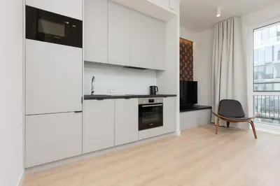 Kuchnia lub aneks kuchenny w obiekcie Fashionable City Center Apartment by Noclegi Renters