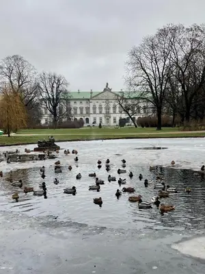 Przyroda w pobliżu tego apartamentu